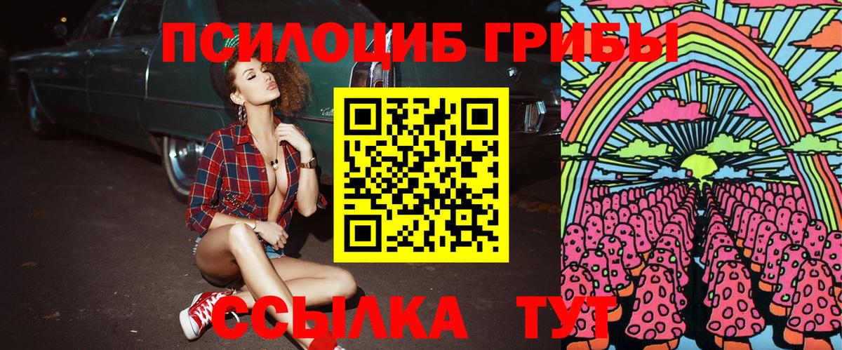 Аргун  Галлюциногенные грибы ЛСД  где продают   Вход с VPN 