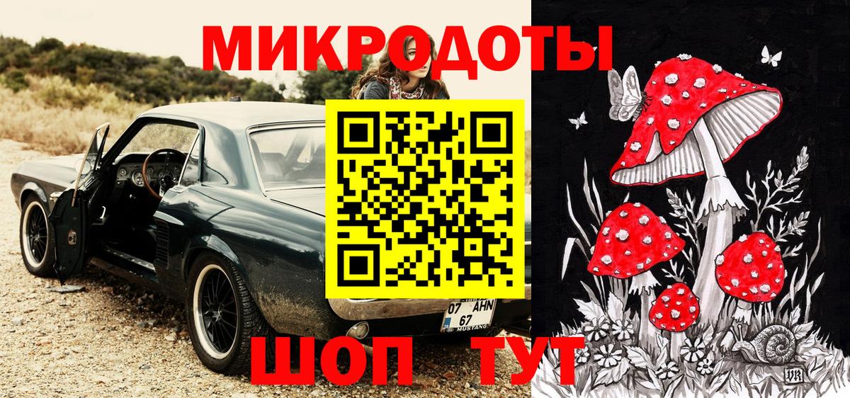 Псилоцибиновые грибы мицелий Аргун